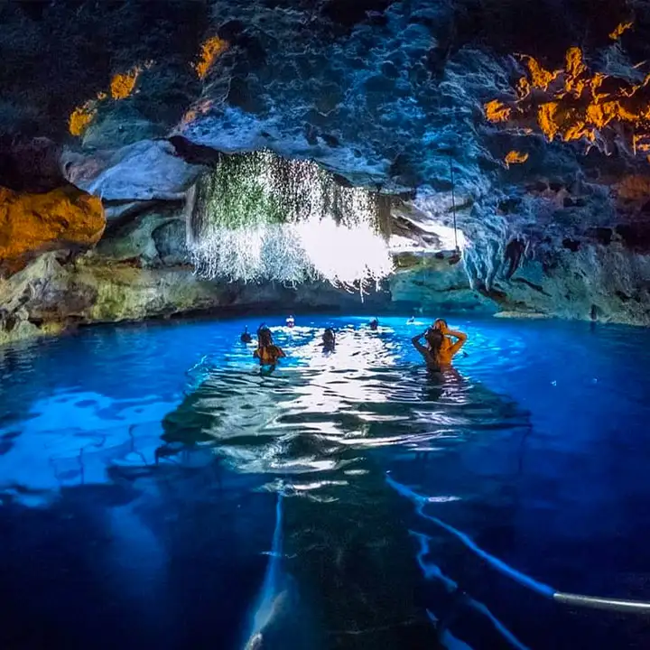 5.	Explore the Amazing Busch Gardens in Tampa Bay