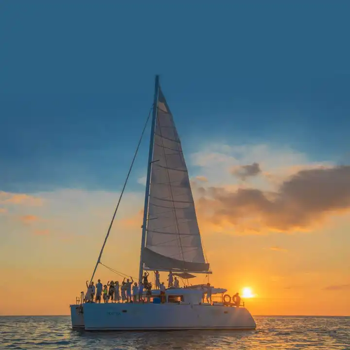 4. Avail Entertainment Options at Beach Bars