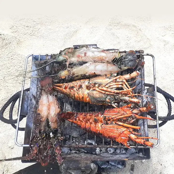 8. Visit the Changuu Island
