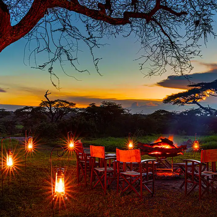 10. Enjoy Sundowner Moments in the Wild