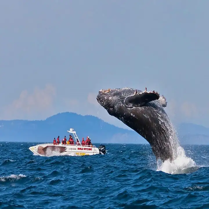 9. Explore the Top Gems at Hikkaduwa 