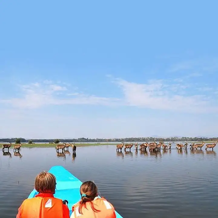 3. Explore the Magical Views at Lake Nakuru