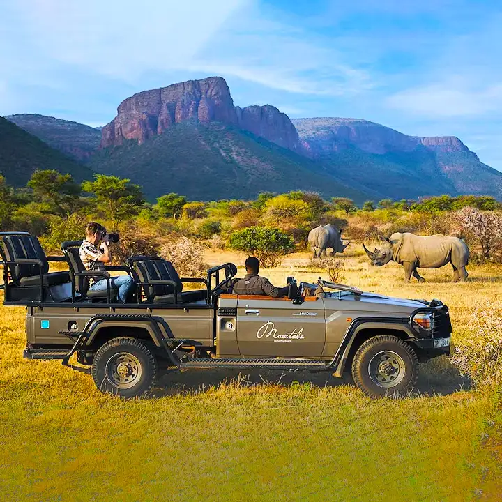 1. Experience Classic Game Drives