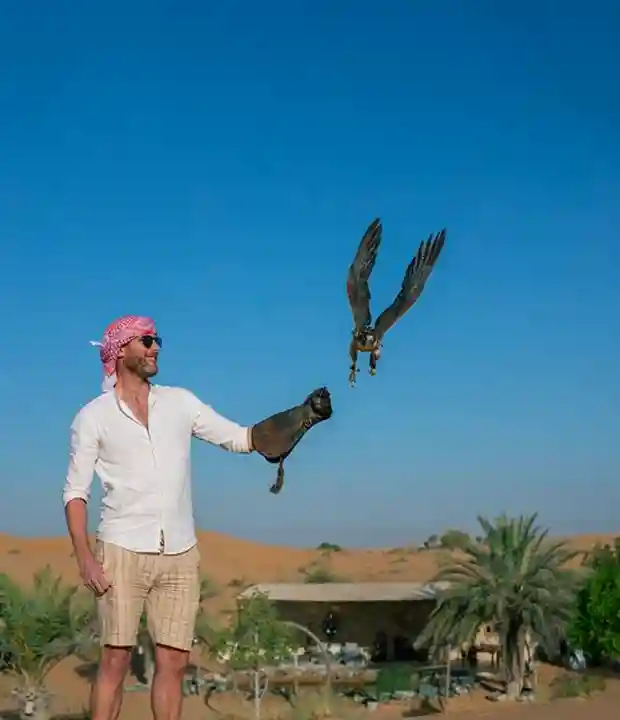 6. Experience Falconry Up Close