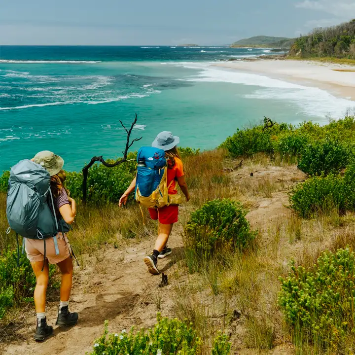 Explore Nature Trails, Jungles & Coastal Hikes