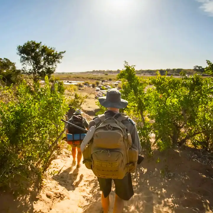 2. Explore the Bush on Foot