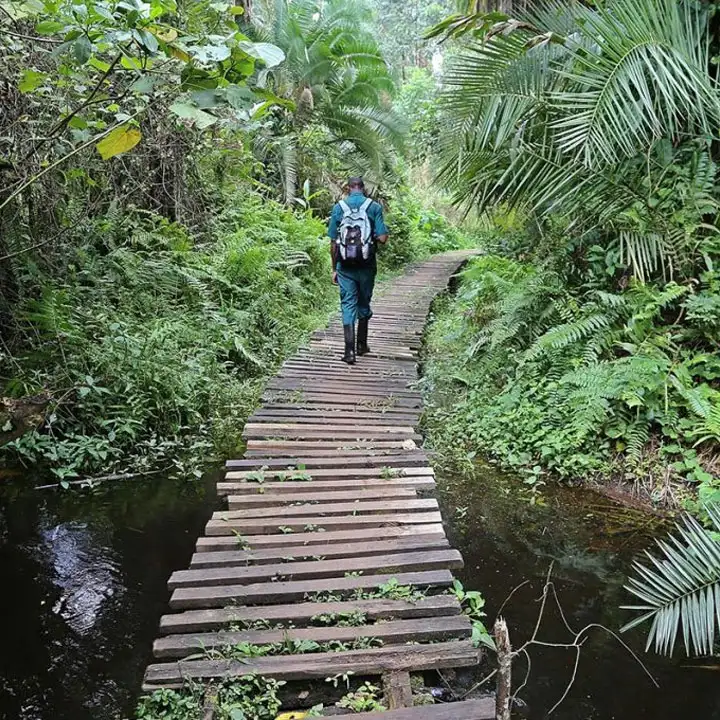 6.	Hike Mount Elgon & Observe Sipi Falls