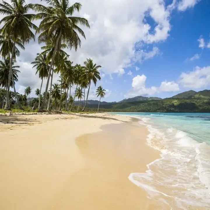 7. Watch the Playful Dolphins at Samana Bay