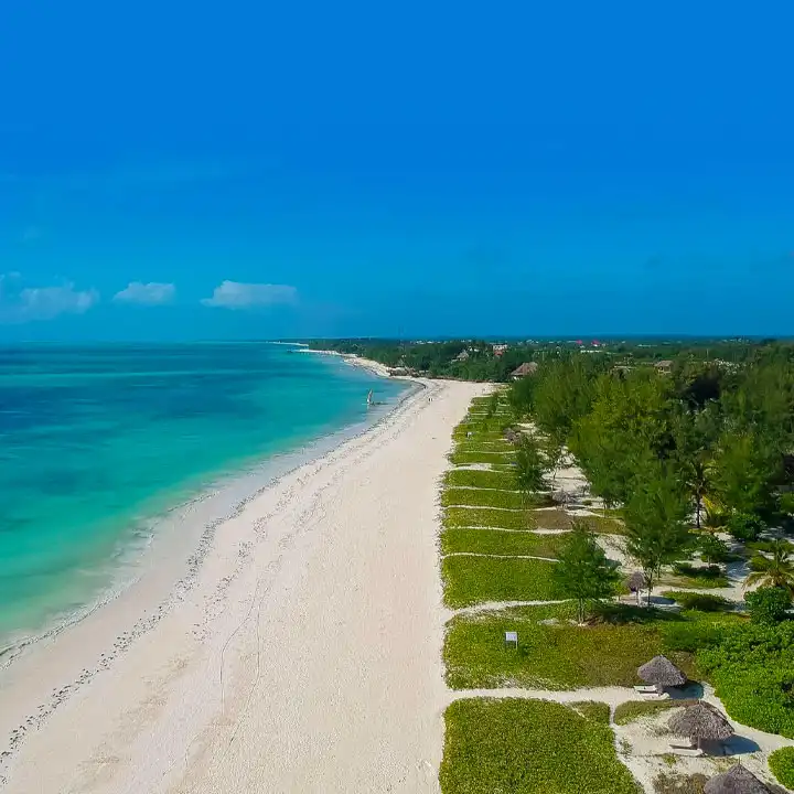 Things to Do in Zanzibar