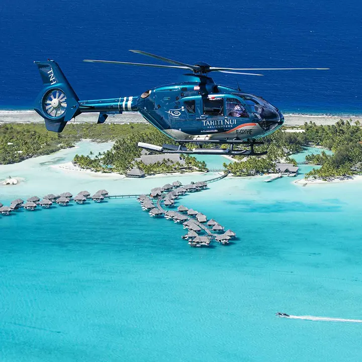 4.	Swim With Sharks