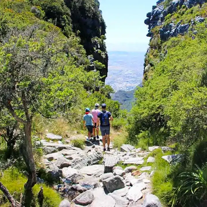 Hike Table Mountain Trails