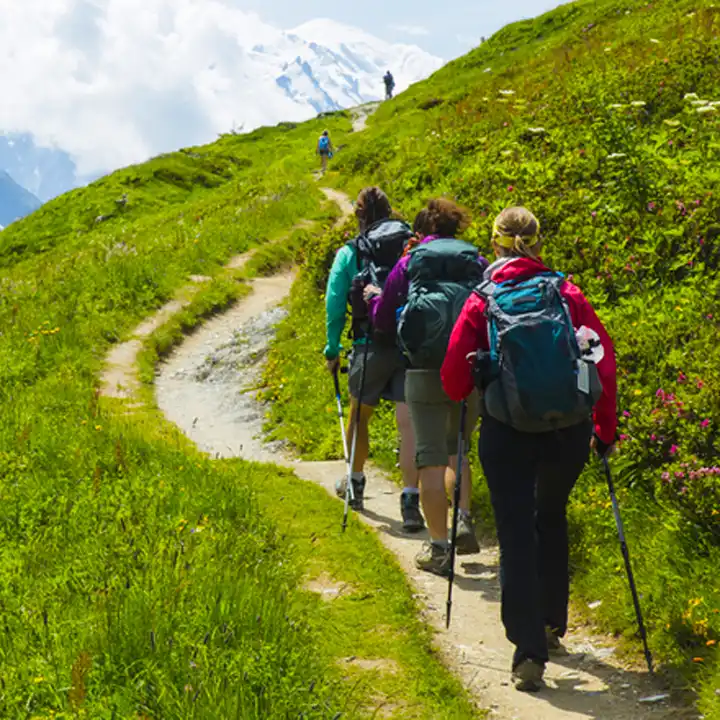 7. Snorkel With Coral Reefs