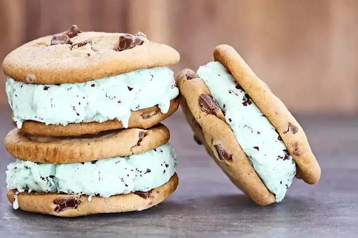 5. ICE CREAM SANDWICH