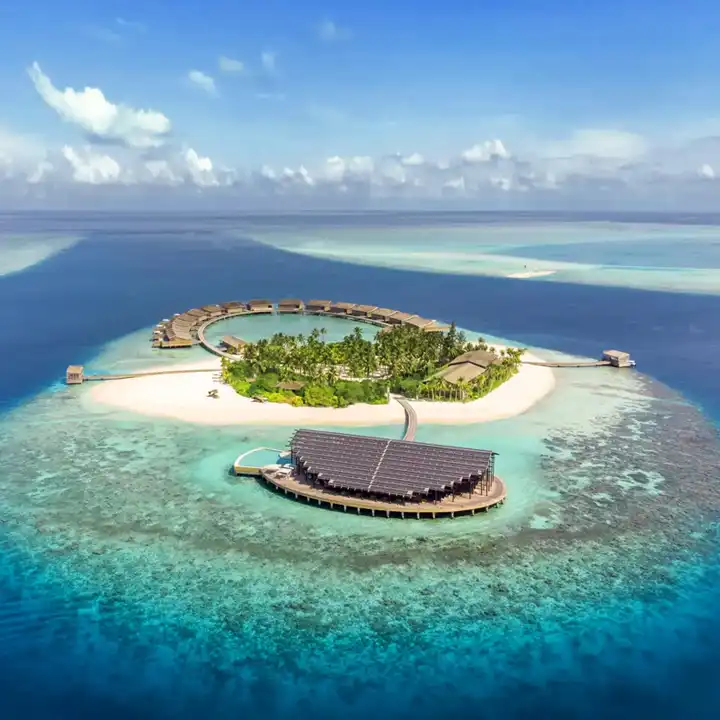 2. Book a Cruise & Watch Dolphins