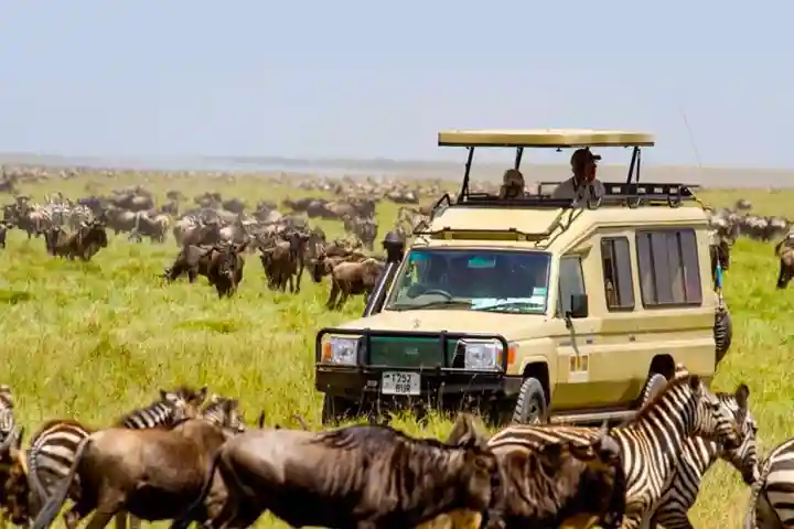 Lake Manyara National Park