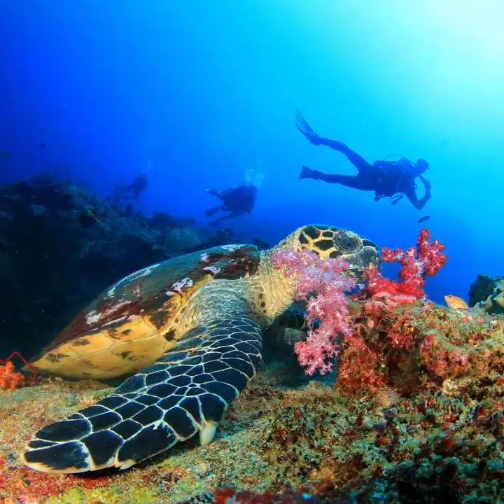 Things to Do in Khao Lak