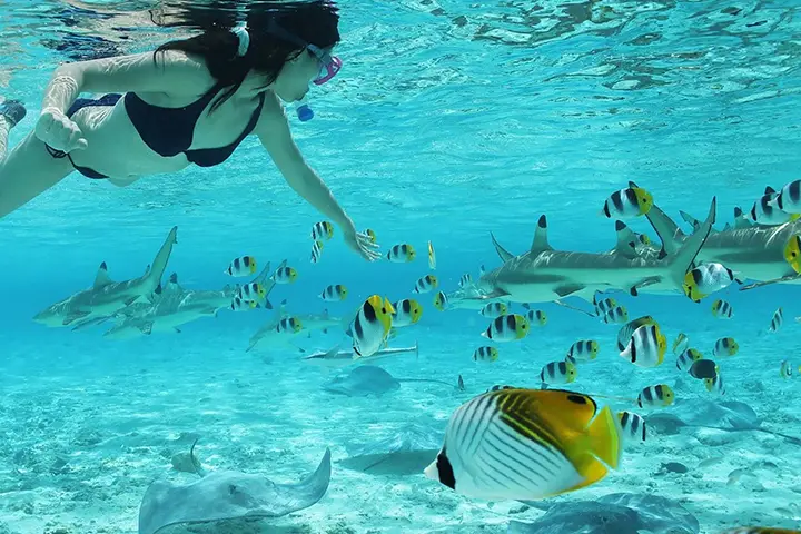 slider-maldives