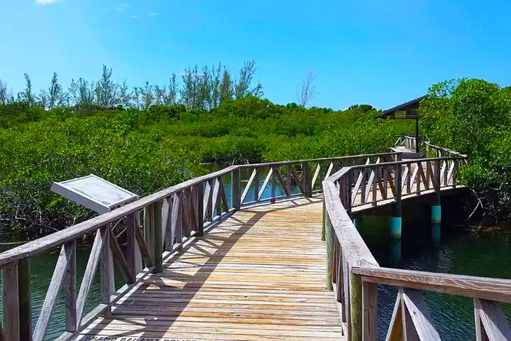 Lucayan National Park