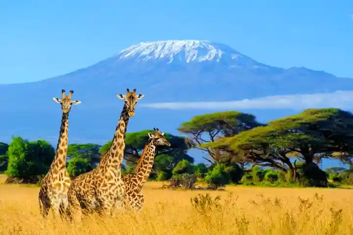 Mount Kilimanjaro