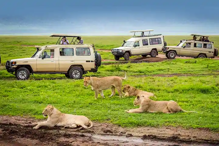 Ngorongoro Crater