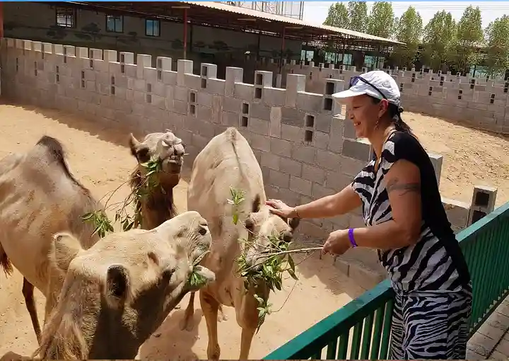 2. RAK Zoo