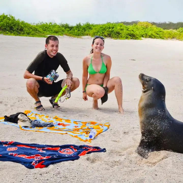 Search for Beach Wildlife