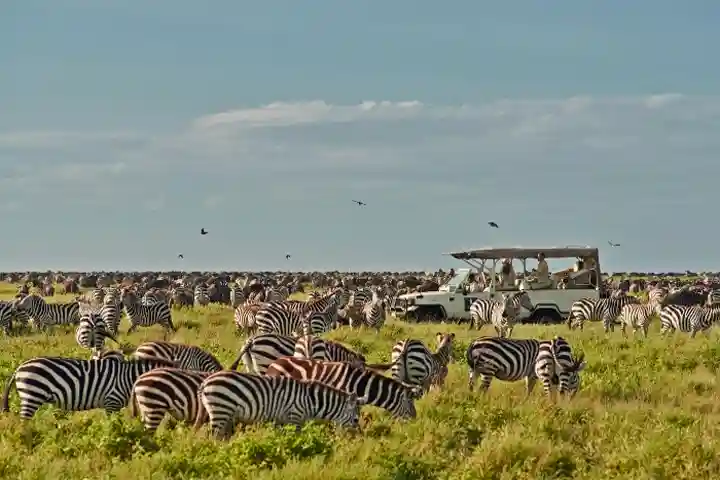 Serengeti National Park