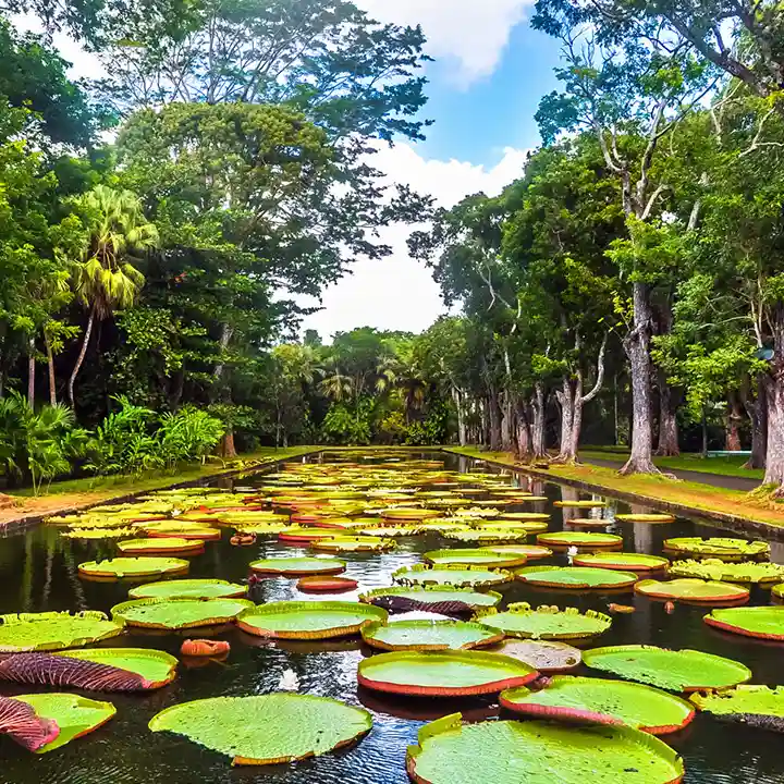 9. Visit the Mauritius Aquarium
