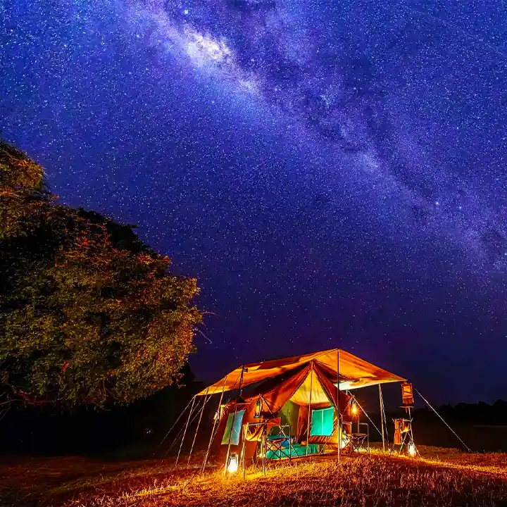 9. Sleep Under the Stars in Bush Camps