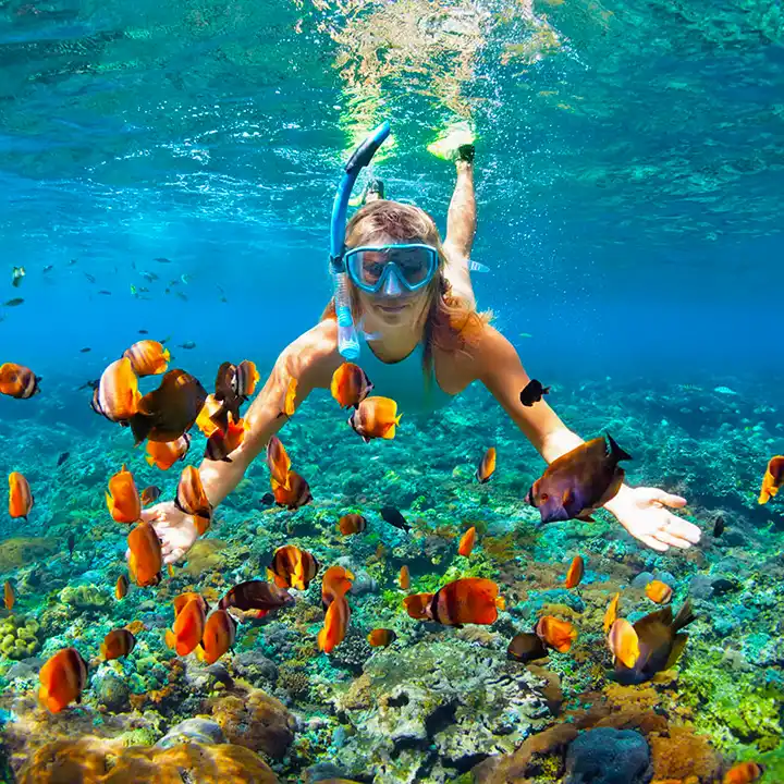 2. Snorkel Among Coral Reefs