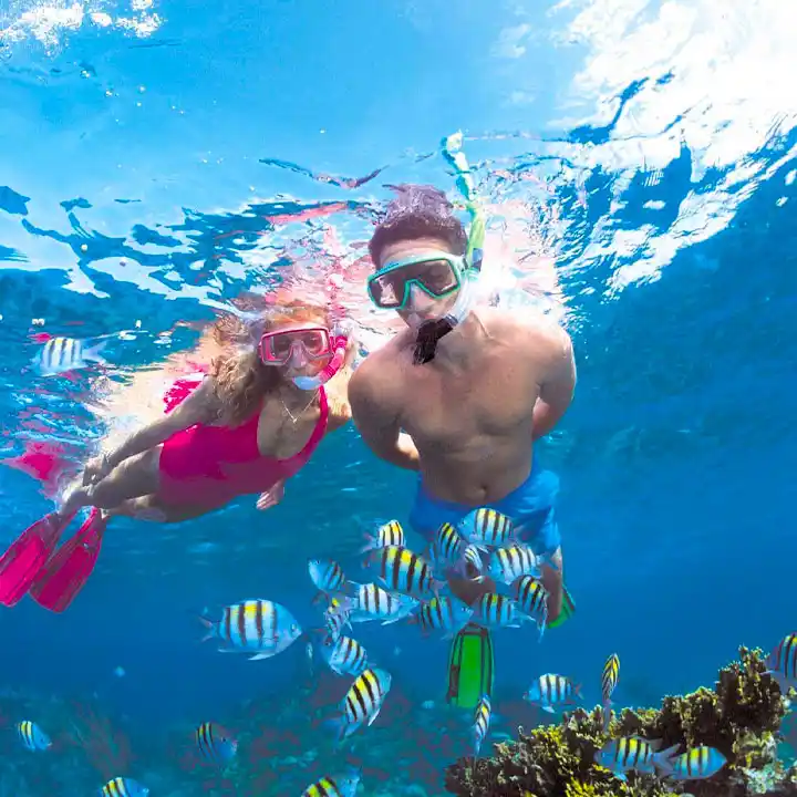 Snorkeling in Coral Reefs