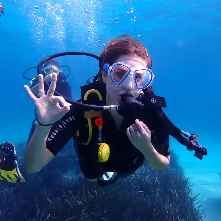 Snorkelling & Scuba Adventures