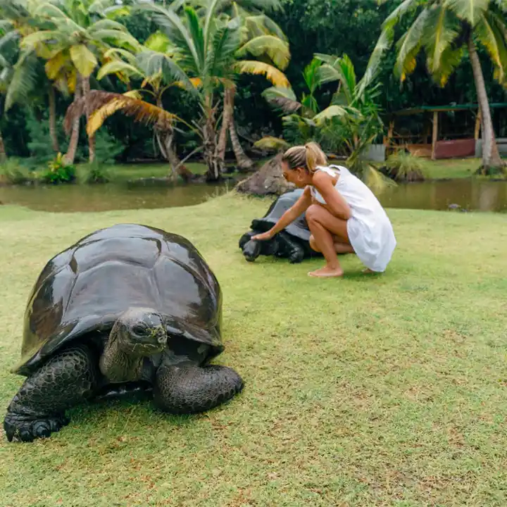 5. Consider Hiking in Morne Seychellois National Park