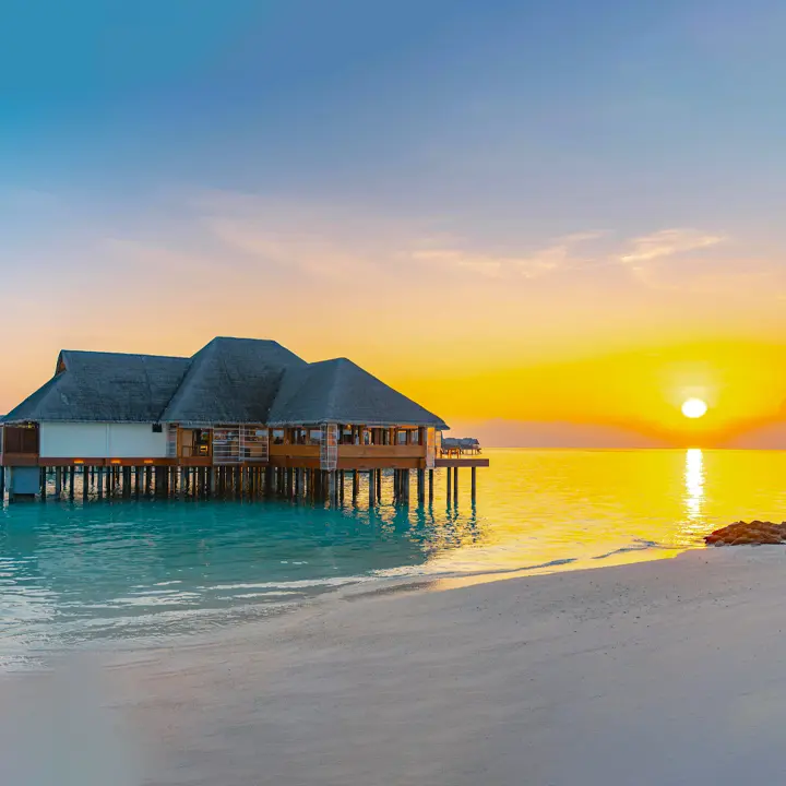 Direct Snorkelling from Your Private Deck