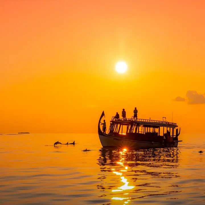 Starlit Evenings on Your Deck