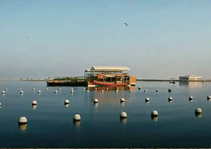 3. Suwaidi Pearls Farm