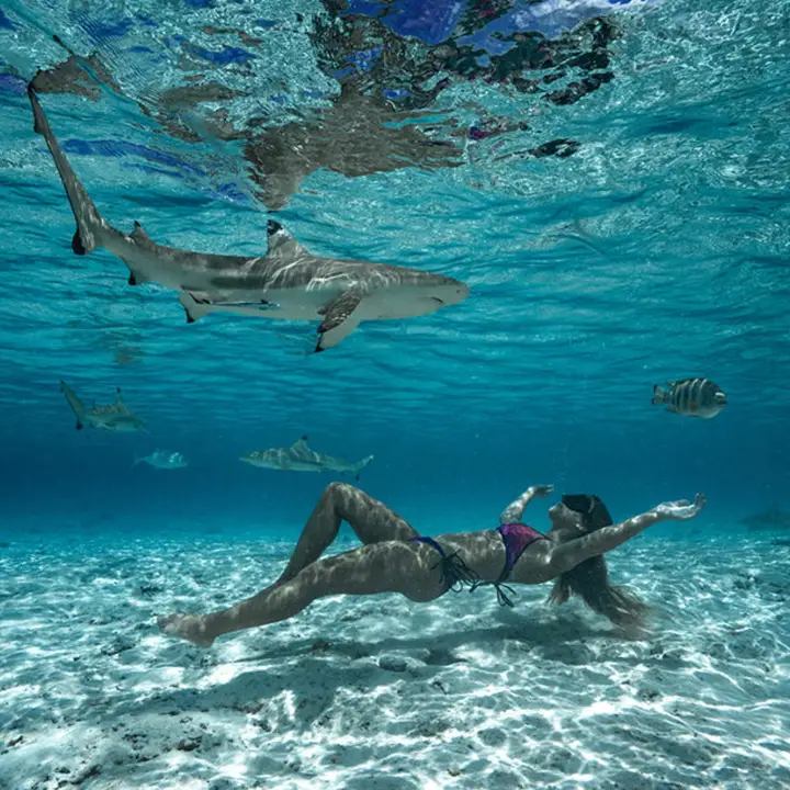 3.	Enjoy Snorkeling & Surfing