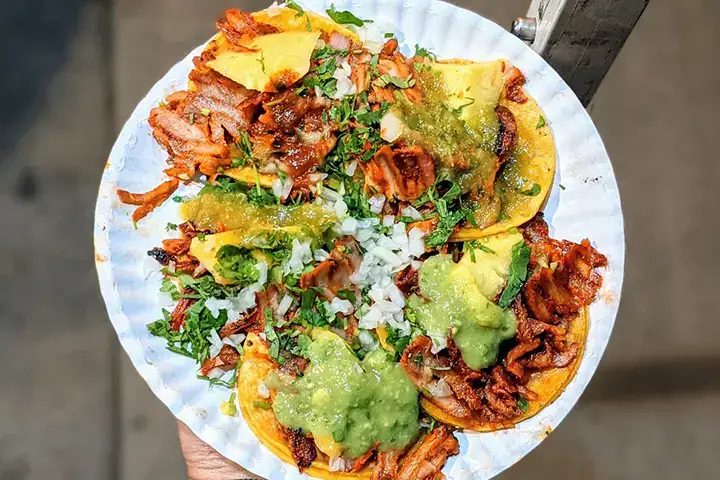 2. TACOS