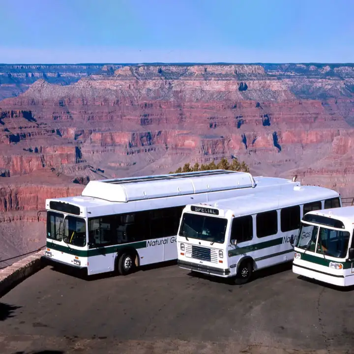 7. Enjoy a Fun City Tour