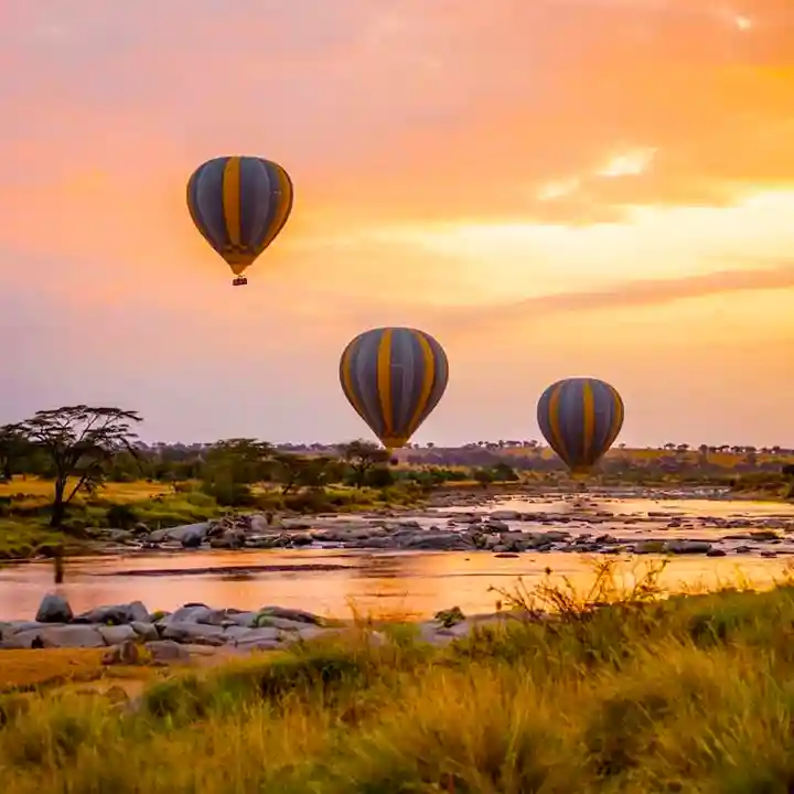 Take a Hot Air Balloon Ride Over the Savannah