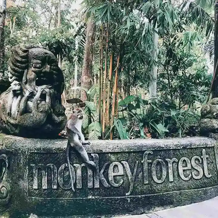 7. Visit the Ancient Bali Site
