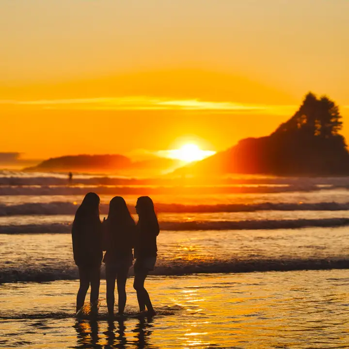 Watch the Sunset and Stargazing