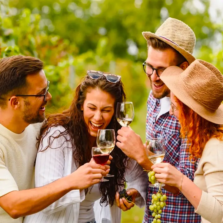 Wine Tasting and Vineyard Tours