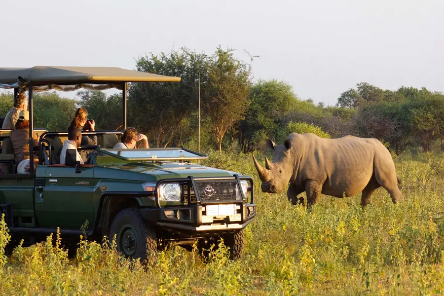 <small>  Top Places for the Best Safari Holidays  </small>  UGANDA SAFARI